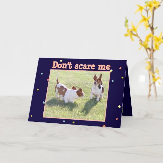 Grappig vogeldagkaartje met Cute Basset Hounds Kaart (Gele Bloem)