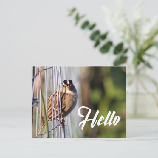 Grappig vogeltje hallo briefkaart (Staand voorkant)
