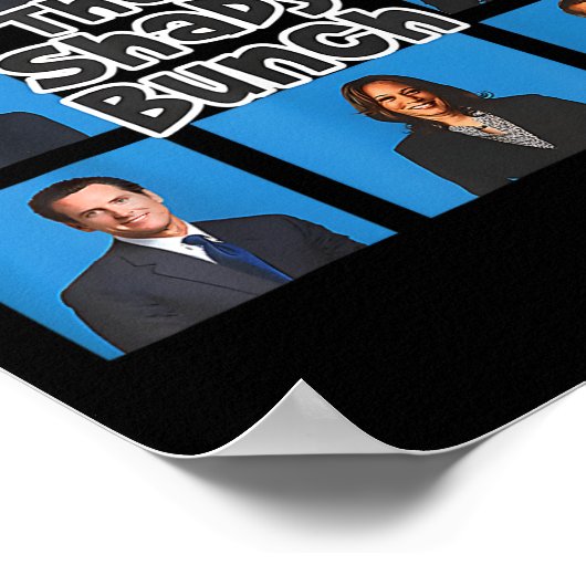 Grappig voor Shady Bunch 2024 Poster (Hoek)