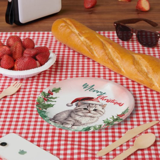 Grappig Vrolijk Kerstkrans Schattige Kattenkatje Papieren Bordje (Picknick)