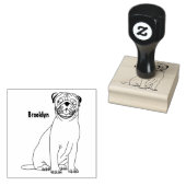 Grappig vrolijke foto van de cartoon rubberstempel (Gestempeld)