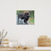 Grappig waar kijk je naar? Bull Bison Poster (Keuken)