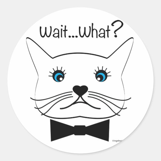 Grappig, wacht...Wat? kruisgeoogste kat, kool Ronde Sticker (Voorkant)