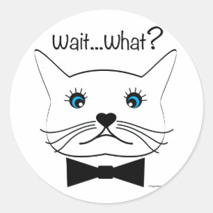 Grappig, wacht...Wat? kruisgeoogste kat, kool Ronde Sticker