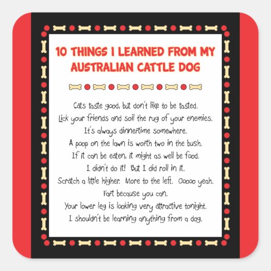 Grappig wat ik geleerd heb van Australische katten Vierkante Sticker (Voorkant)