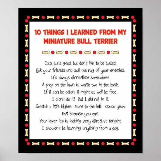 Grappig wat ik geleerd heb van de miniatuur Bull T Poster (Voorkant)