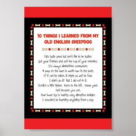 Grappig wat ik geleerd heb van de oude Engelse She Poster (Voorkant)