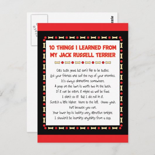 Grappig wat ik geleerd heb van Jack Russell Terrie Briefkaart (Voorkant / Achterkant)