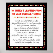 Grappig wat ik geleerd heb van Jack Russell Terrie Poster (Voorkant)