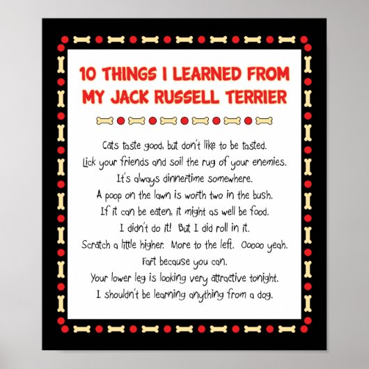 Grappig wat ik geleerd heb van Jack Russell Terrie Poster (Voorkant)