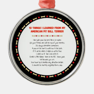 Grappig wat ik geleerd heb van mijn Amerikaanse Pi Metalen Ornament