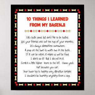 Grappig wat ik geleerd heb van mijn Basenji Poster