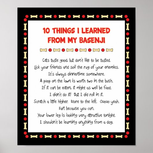Grappig wat ik geleerd heb van mijn Basenji Poster (Voorkant)