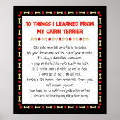 Grappig wat ik geleerd heb van mijn Caïro Terrier Poster (Voorkant)