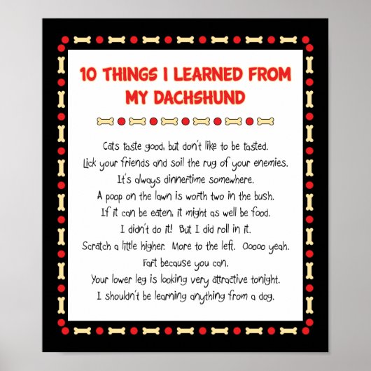 Grappig wat ik geleerd heb van mijn Dachshund Poster (Voorkant)