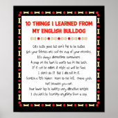 Grappig wat ik geleerd heb van mijn Engelse bulled Poster (Voorkant)