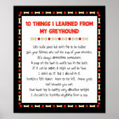 Grappig wat ik geleerd heb van mijn Greyhound Poster (Voorkant)