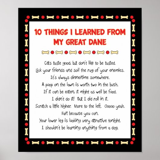 Grappig wat ik geleerd heb van mijn grote deen poster (Voorkant)
