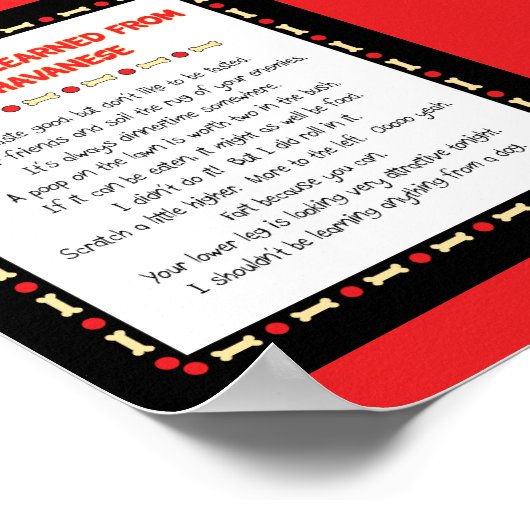 Grappig wat ik geleerd heb van mijn Havanees Poster (Hoek)