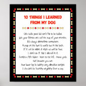 Grappig wat ik geleerd heb van mijn hond poster (Voorkant)