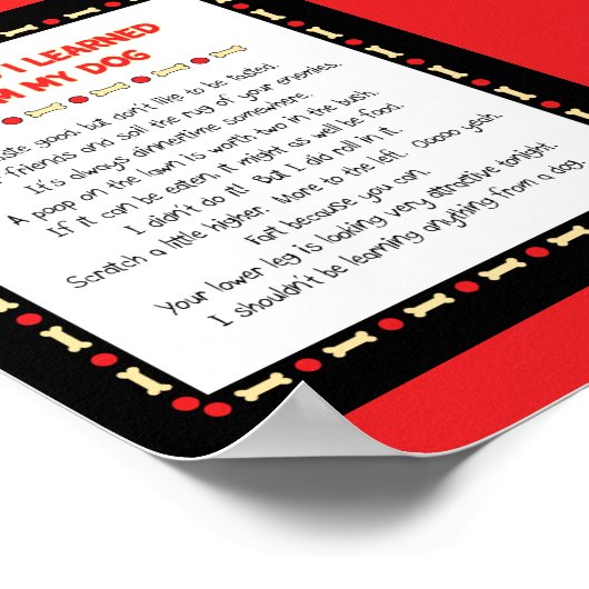 Grappig wat ik geleerd heb van mijn hond poster (Hoek)