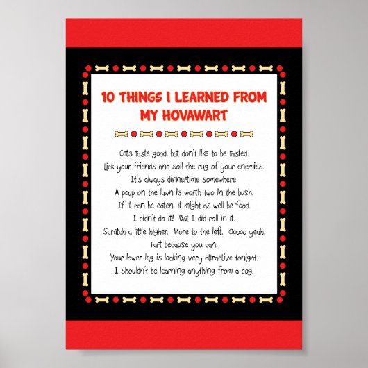 Grappig wat ik geleerd heb van mijn Hovawart Poster (Voorkant)