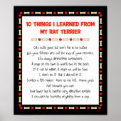 Grappig wat ik geleerd heb van mijn Rat Terrier Poster (Voorkant)