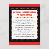 Grappig wat ik geleerd heb van mijn ruige collie briefkaart (Voorkant)