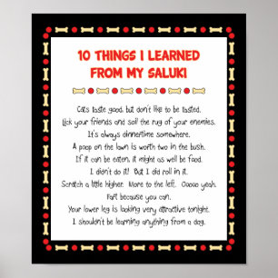 Grappig wat ik geleerd heb van mijn Saluki Poster