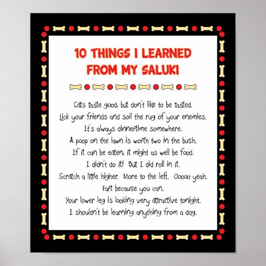 Grappig wat ik geleerd heb van mijn Saluki Poster (Voorkant)