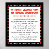 Grappig wat ik geleerd heb van mijn sequoienheuvel poster (Voorkant)