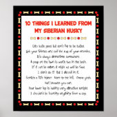 Grappig wat ik geleerd heb van mijn Siberische Hus Poster (Voorkant)