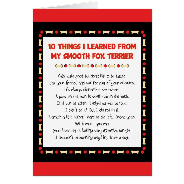 Grappig wat ik geleerd heb van mijn soepele fox te (Voorkant)