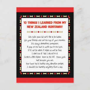 Grappig wat ik geleerd heb van New Zealand Huntawa Briefkaart
