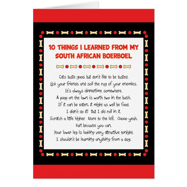 Grappig wat ik geleerd heb van Zuid-Afrikaanse Boe (Voorkant)