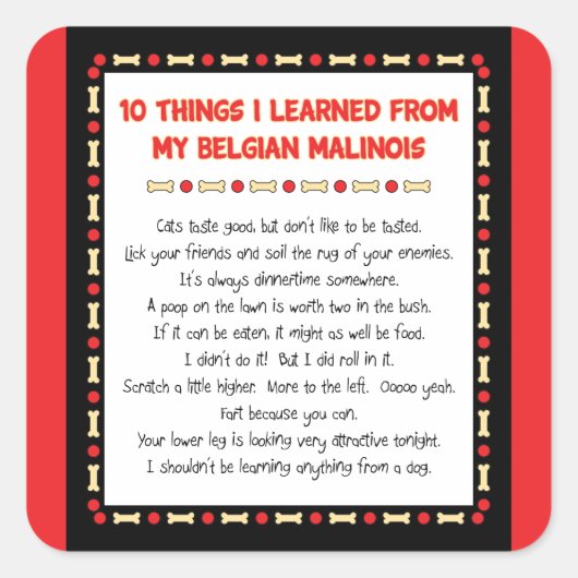 Grappig wat ik heb geleerd van mijn Belgische Mali Vierkante Sticker (Voorkant)