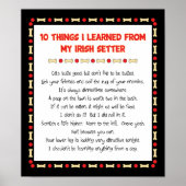 Grappig wat ik heb geleerd van mijn Ierse kiezer Poster (Voorkant)