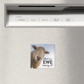 Grappig wat we zien bij schapen magneet (Insitu (Vaatwasser))