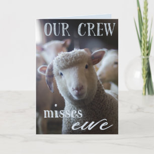 Grappig We missen je Kaart Foto van Sheep Farm Ani