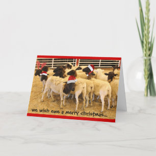 Grappig, wens ooi een vrolijk kerstfeest, geen BAA Feestdagen Kaart
