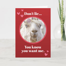 Grappig wit lama met Rollers Valentijnsdag Feestdagen Kaart
