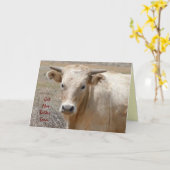 Grappig word - Leuke Witte Koe - goed Boerderij of Kaart (Gele Bloem)