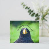 Grappig Zee-havik Bird·Custom Aankondigingskaart (Staand voorkant)