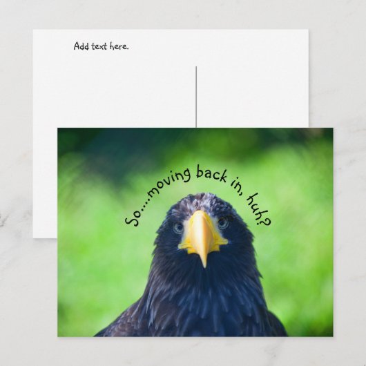 Grappig Zee-havik Bird·Custom Aankondigingskaart (Voorkant / Achterkant)