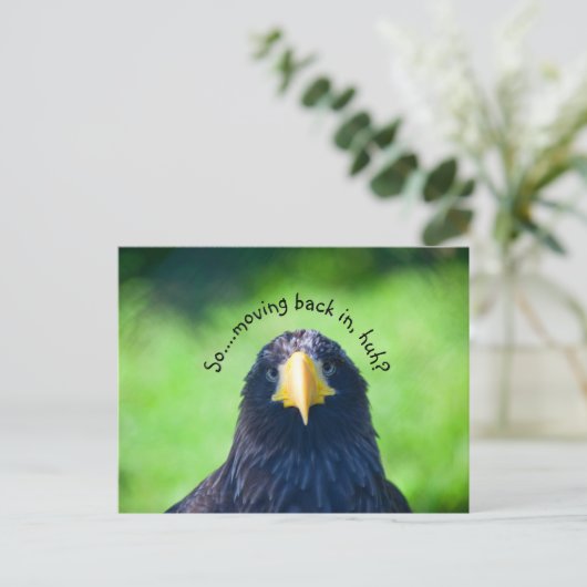 Grappig Zee-havik Bird·Custom Aankondigingskaart (Staand voorkant)