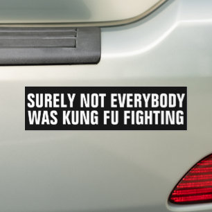 Grappig ZEKER NIET IEDEREEN WAS KUNG FU VECHTEN Bumpersticker