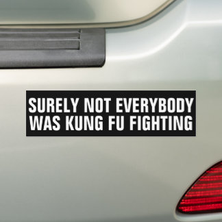 Grappig ZEKER NIET IEDEREEN WAS KUNG FU VECHTEN Bumpersticker