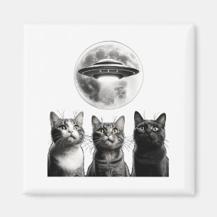 Grappige 3 Bange Katten Maan Ufo Alien Aard Invasi Magneet