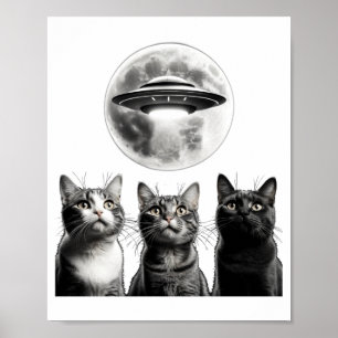 Grappige 3 Bange Katten Maan Ufo Alien Aard Invasi Poster