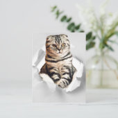 Grappige 3d grafische kat gescheurd papier illusie briefkaart (Staand voorkant)